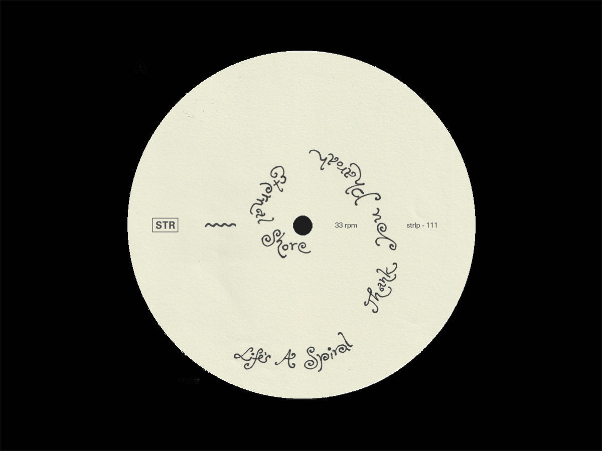 Florian T M Zeisig - A New Life (LP)