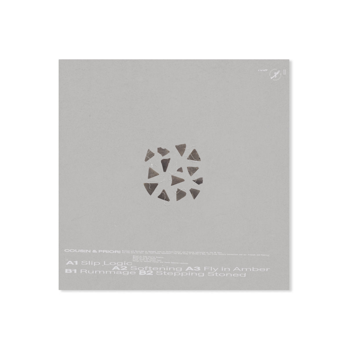 Cousin & Priori - Fly In Amber (12")