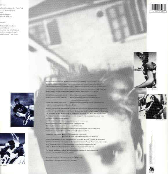 Sting - The Dream Of The Blue Turtles (LP)