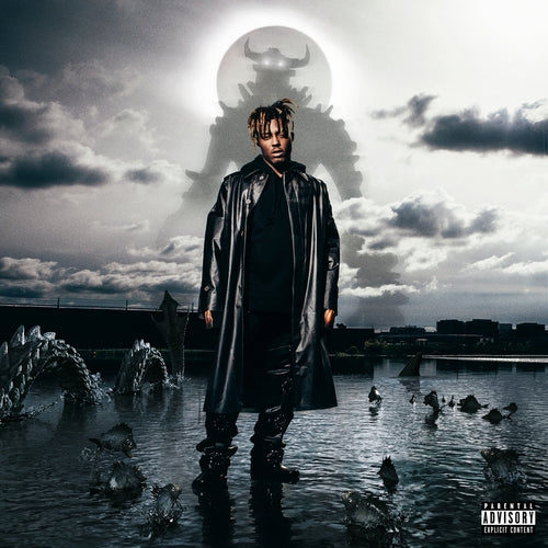 Juice WRLD - Fighting Demons (LP)