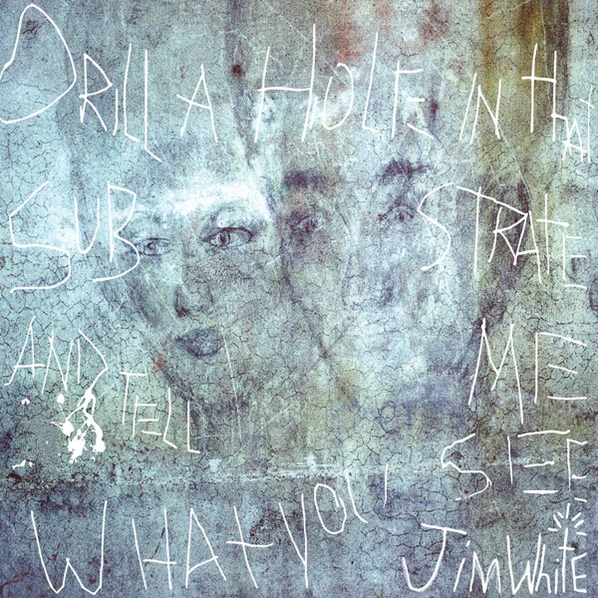 Jim White - Drill a Hole In That Substrate and Tell Me What You See (LP)