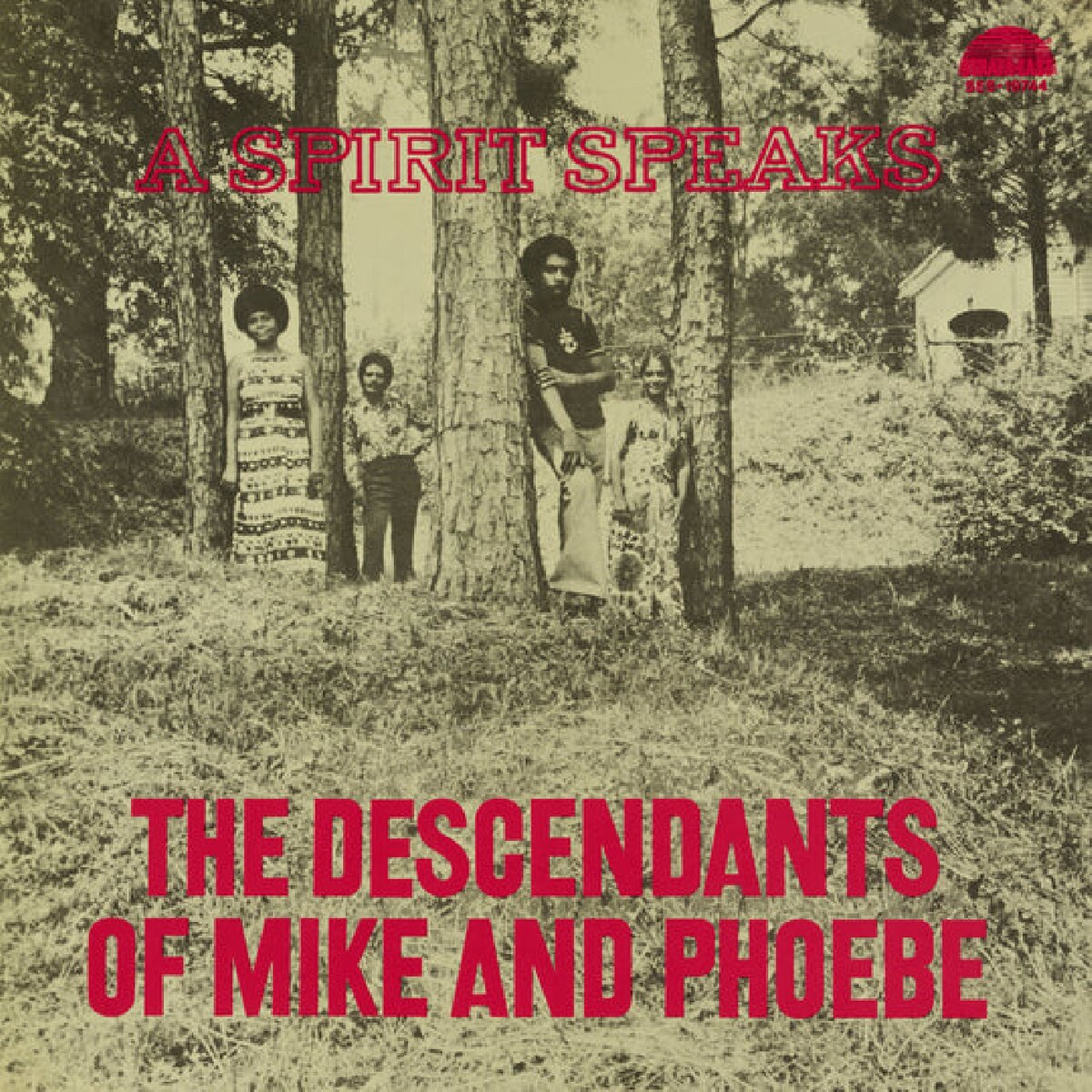 Bill Lee - The Descendants Of Mike And Phoebe - A Spirit Speaks (LP)