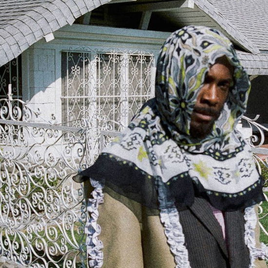 JPEGMAFIA - All My Heroes Are Cornballs ()