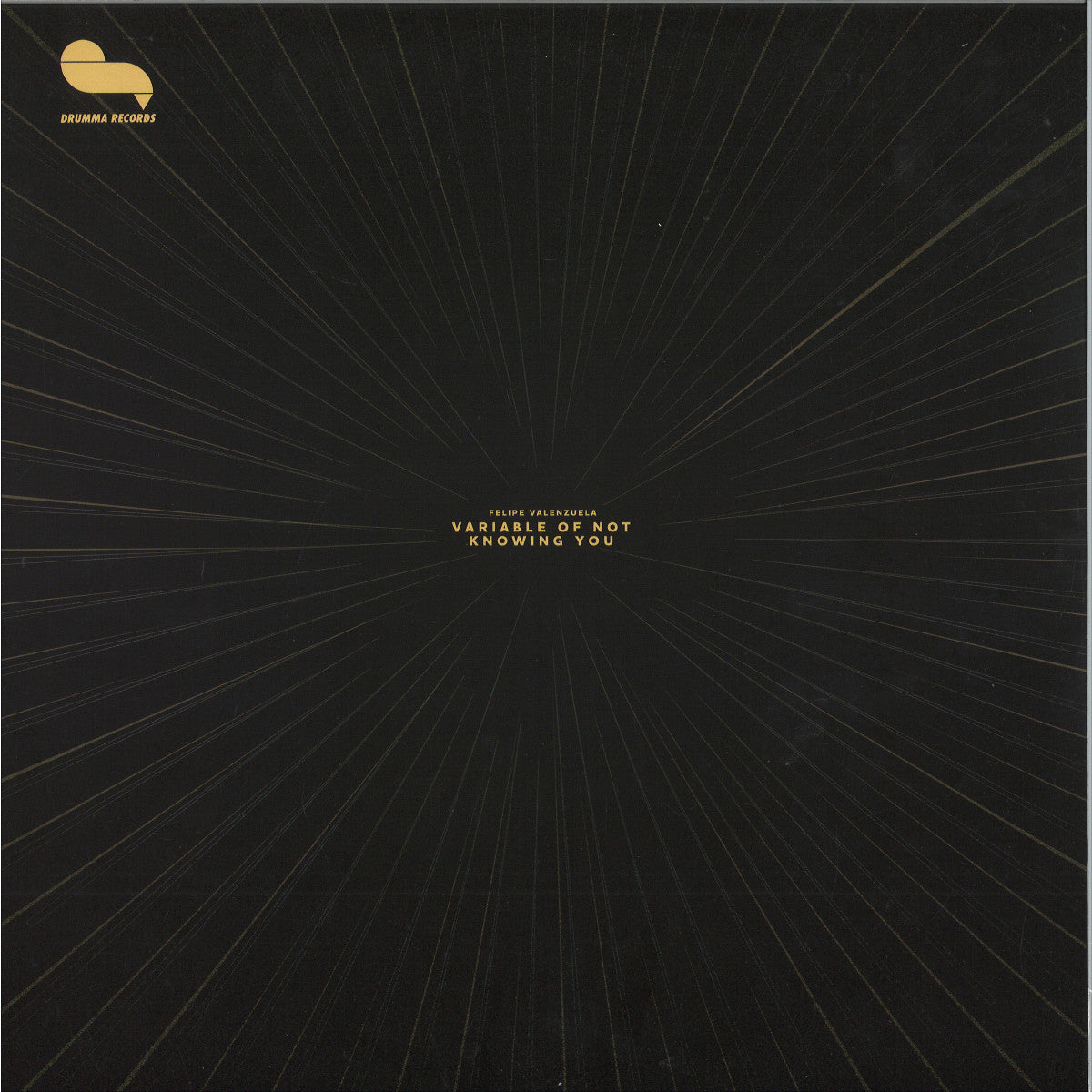 Felipe Valenzuela - Variable of Not Knowing You