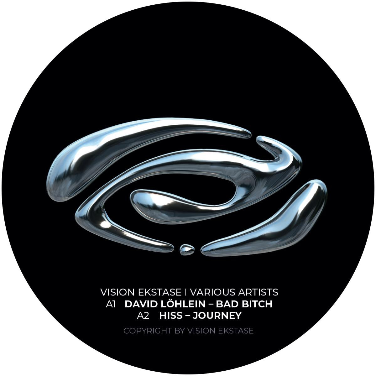 Various Artists - Vision Ekstase 8 (12")