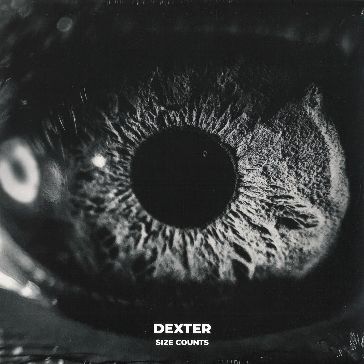 Dexter - Size Counts (12")