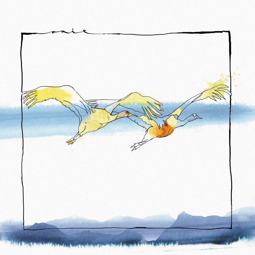 Acid Pauli & Nico Stojan - Vola (12")