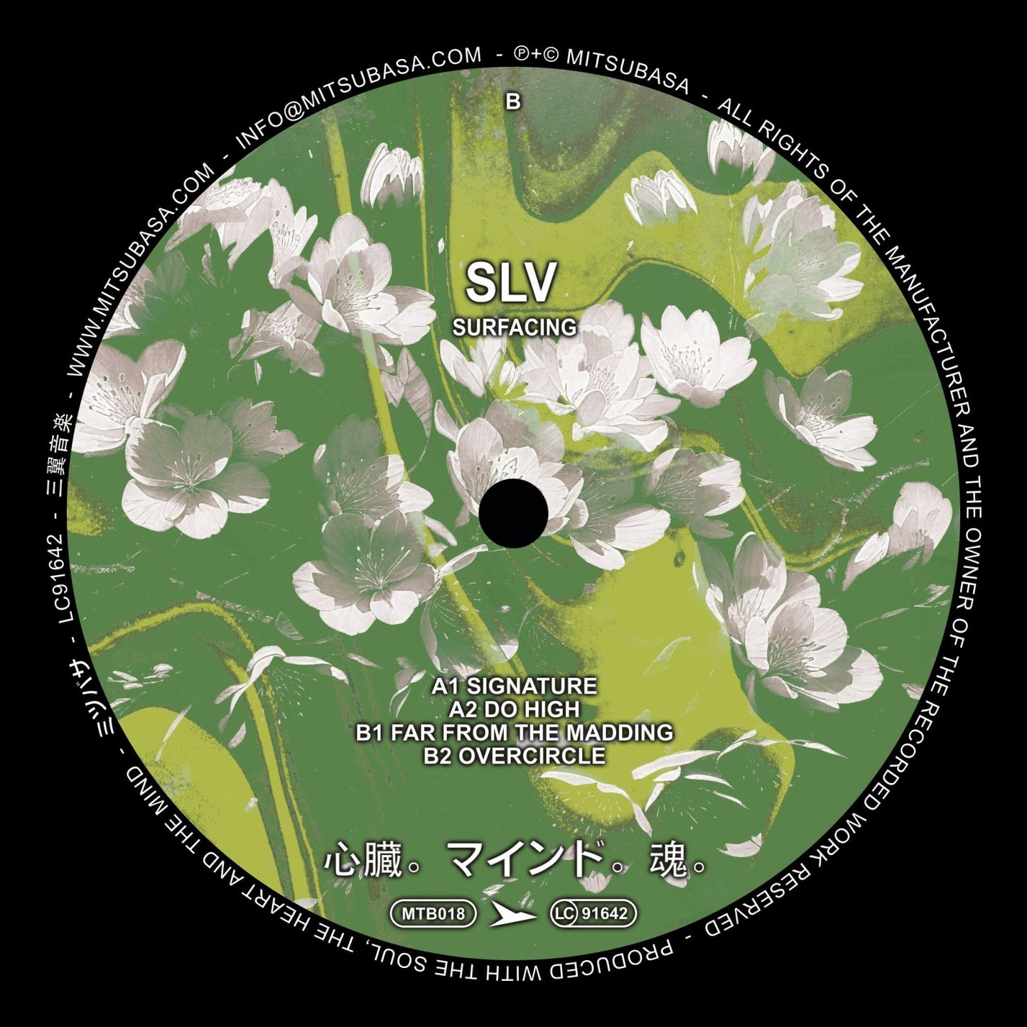 SLV - Surfacing EP (12")