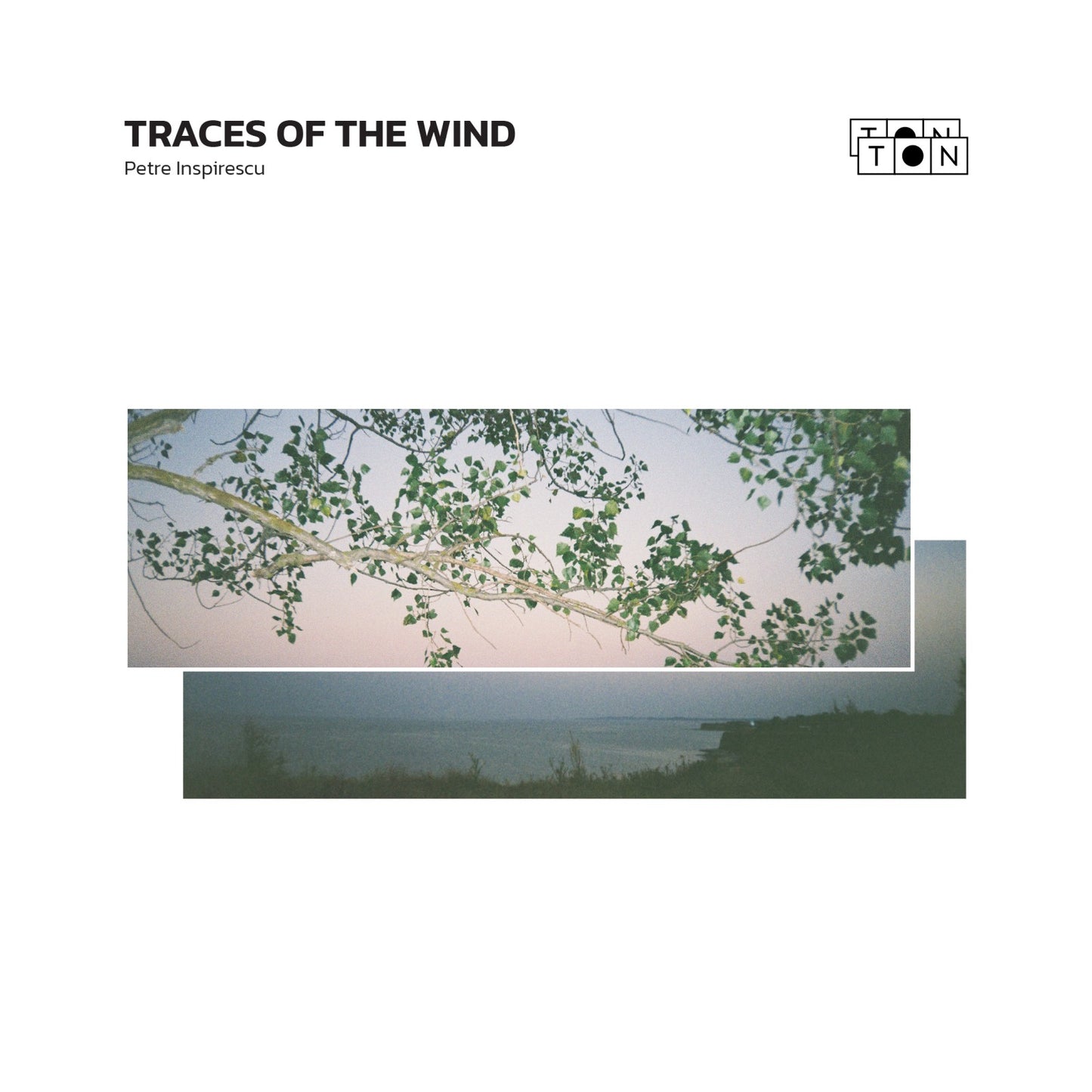 Petre Inspirescu - Traces of the wind (LP)