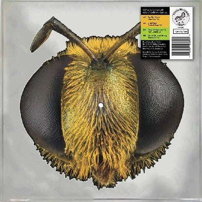 King Gizzard & The Lizard Wizard - Big Fig Wasp (Shaped Vinyl 12")