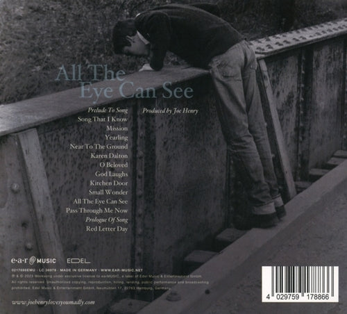 Joe Henry - All the Eye Can See (CD)