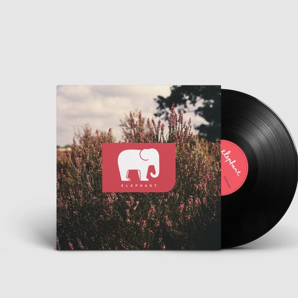 Elephant - Elephant