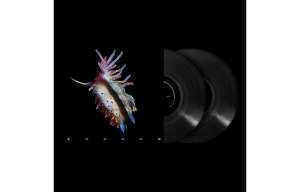 Sub Focus - Evolve