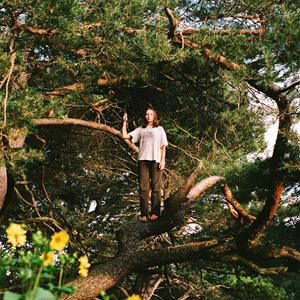 Packs - Melt the Honey (Gold LP)