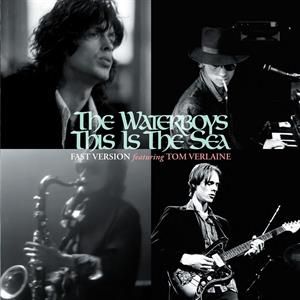 Waterboys - This is the Sea