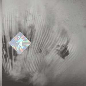 Discovery Zone - Quantum Web (LP)