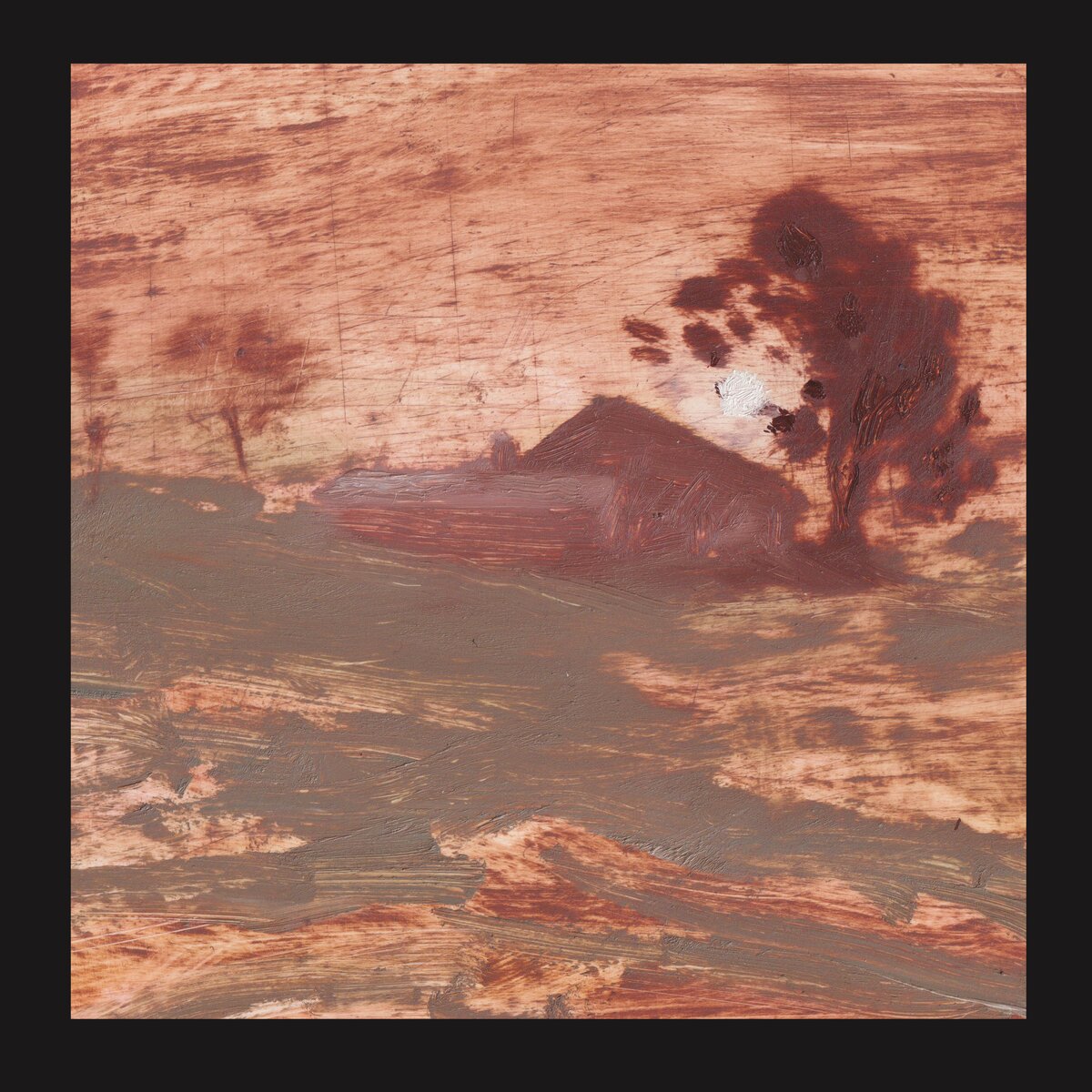 Shits - Diet of worms (LP)