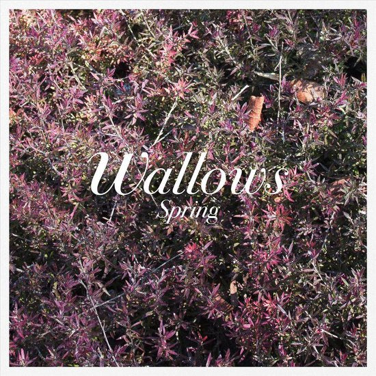 Wallows - Spring (Coloured Vinyl LP)
