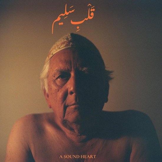 Jaubi - A Sound Heart (LP)