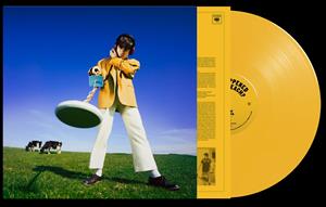 Declan McKenna - What Happened To the Beach? (Yellow Vinyl)