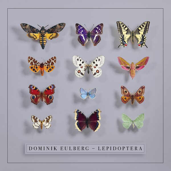 Dominik Eulberg - Lepidoptera (LP)
