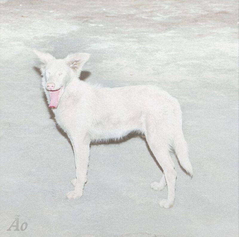 Ao - Malandra (12")