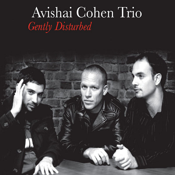 Avishai Cohen Trio - Gently Disturbed (LP)