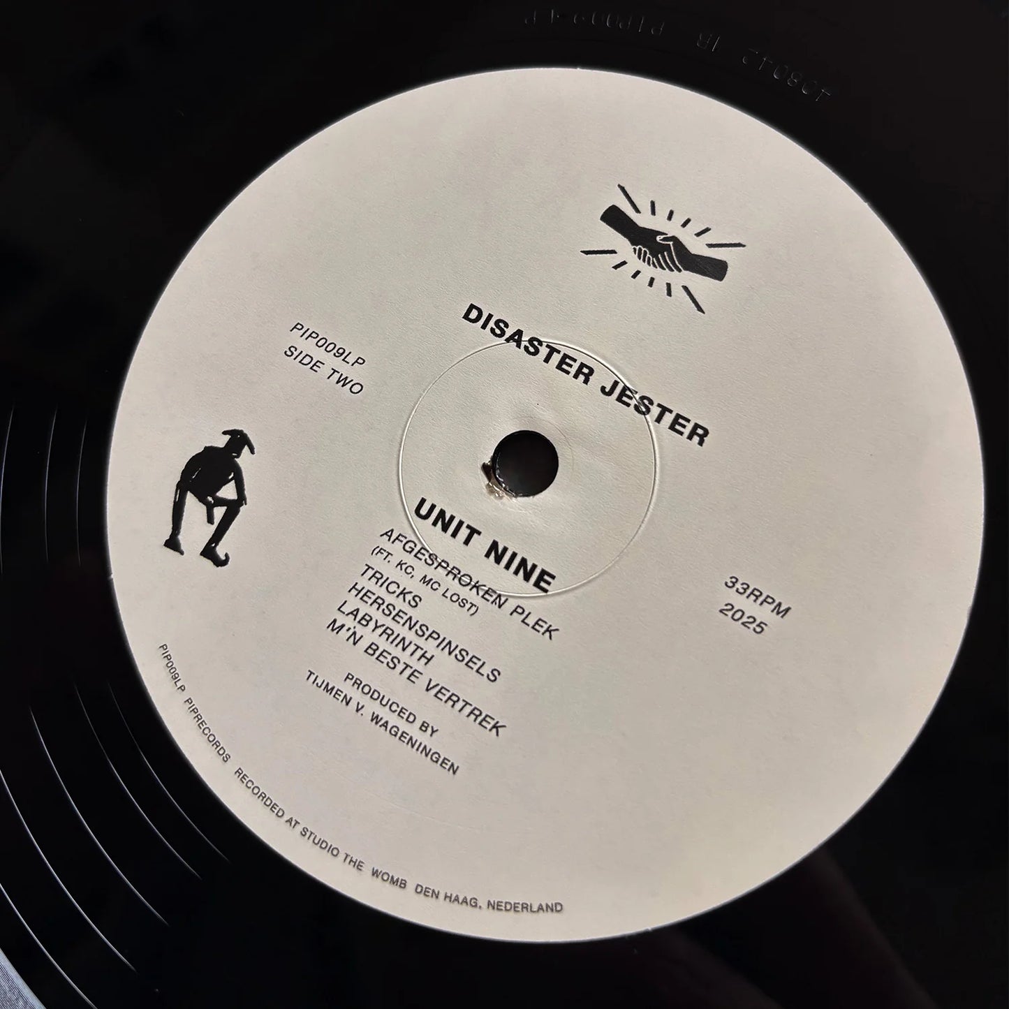 Unit Nine - Disaster Jester (LP)