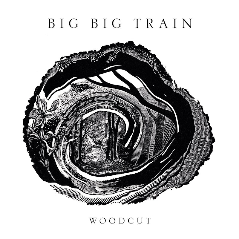 Big Big Train - Woodcut (LP)