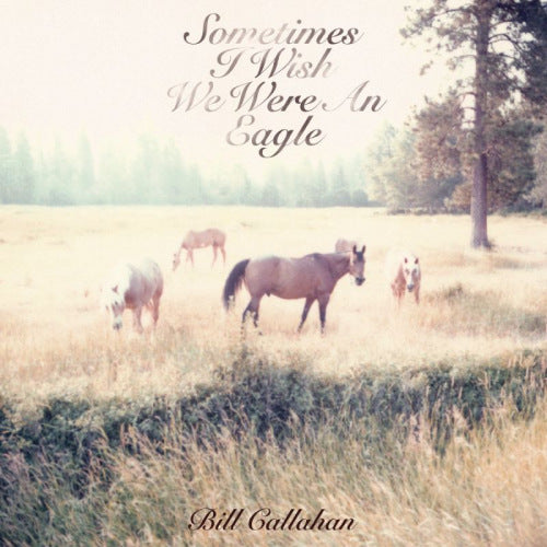 Bill Callahan - Sometimes I Wish We Were (LP)