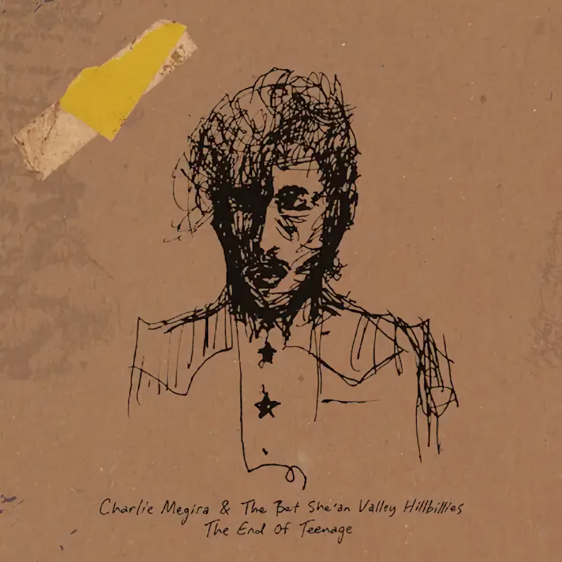 Charlie Megira - End Of Teenage (LP)
