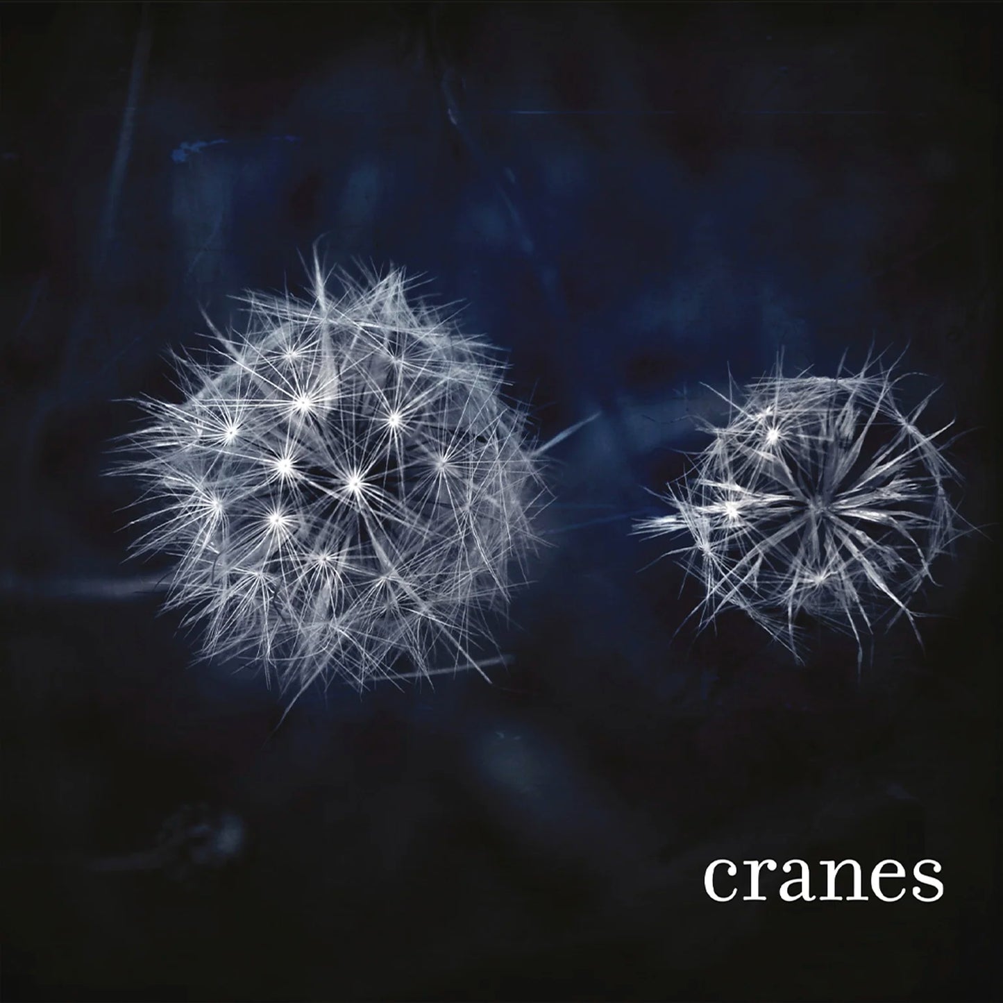 Cranes - Cranes (Silver Vinyl LP)