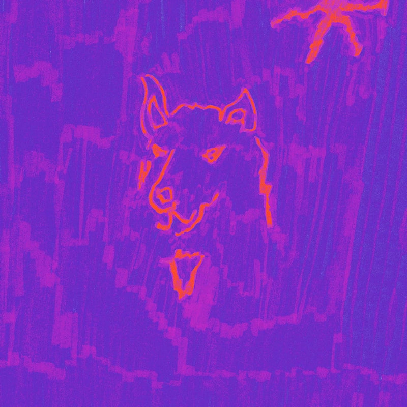 Dehd - Poetry (Coloured LP)