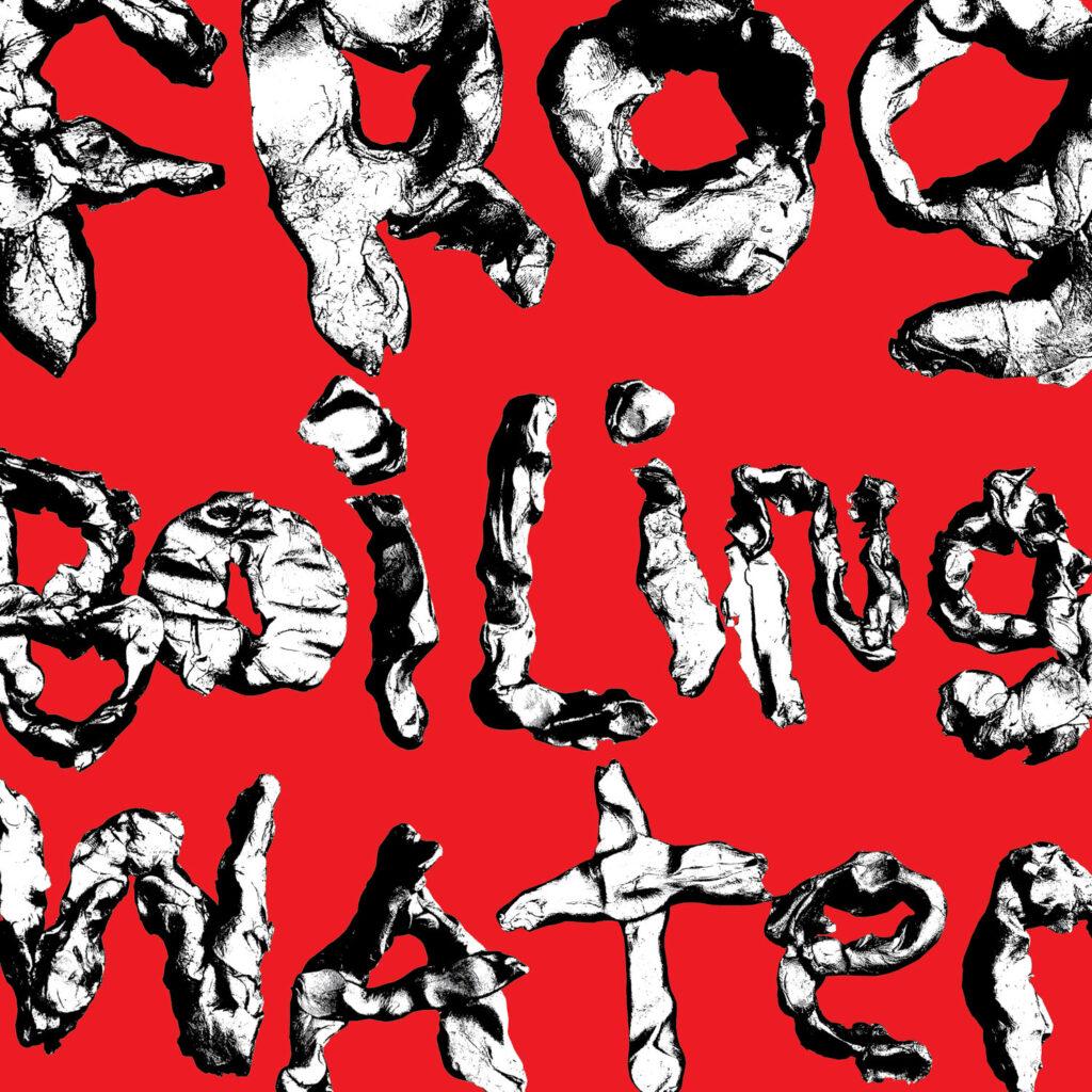 Diiv - Frog In Boiling Water (White Vinyl)