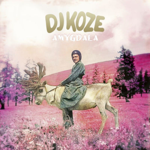dj koze - amygdala (LP)