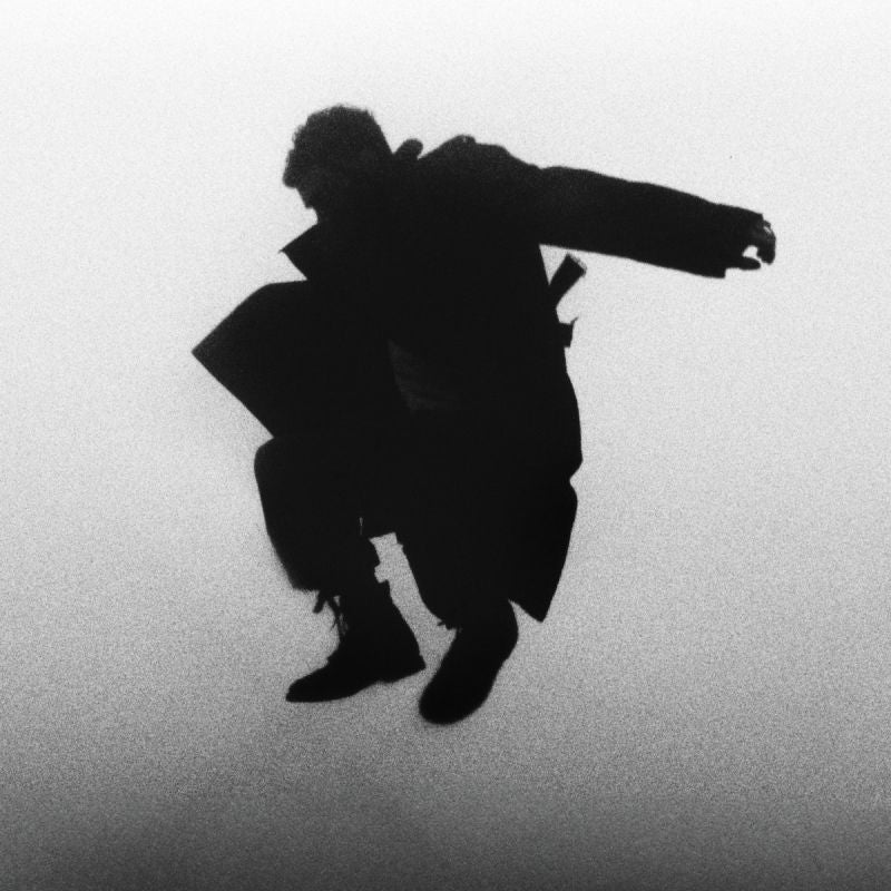 Del Water Gap - Chasing The Chimera (Clear Vinyl LP)