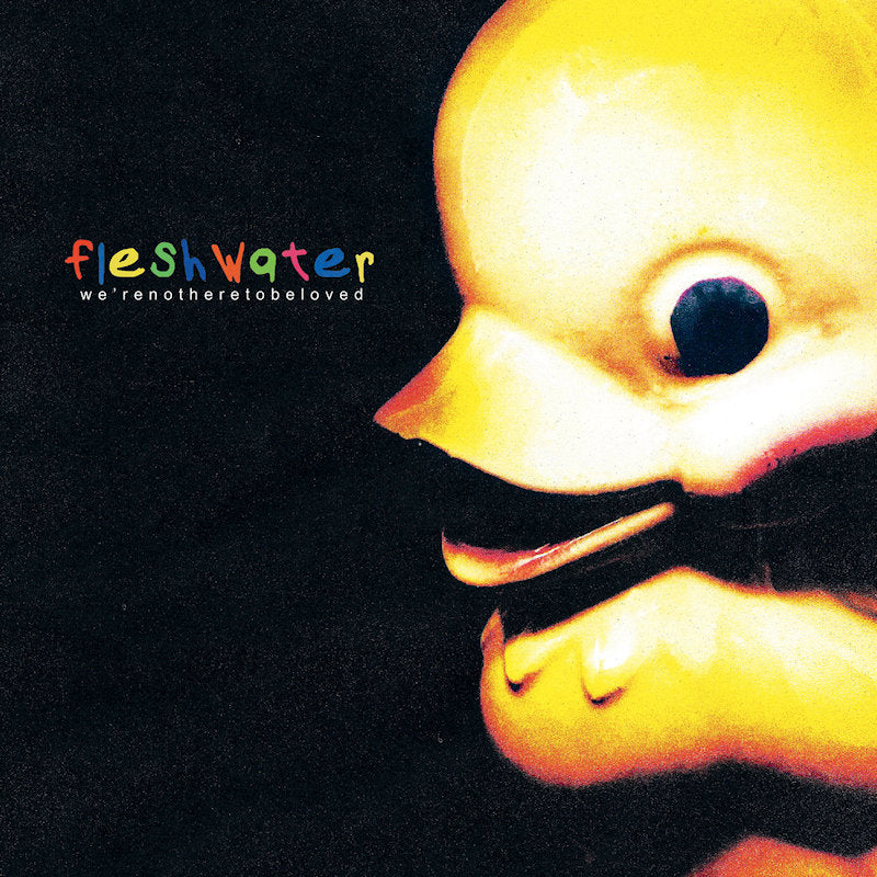 Fleshwater - We're Not Here To Be Loved (Clear Vinyl LP)