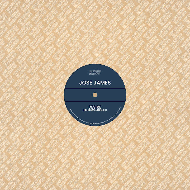 Jose James & Ben Westbeech - Brownswood recordings remix edition 005 (12")