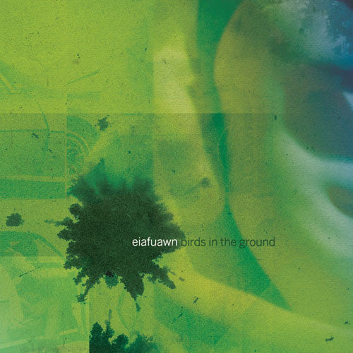 Eiafuawn - Birds In The Ground (Cassette)