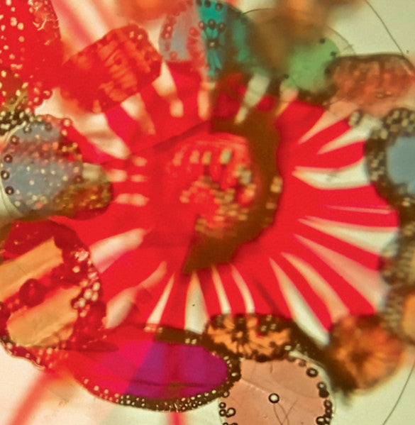 Pak Yan Lau - Bakunawa