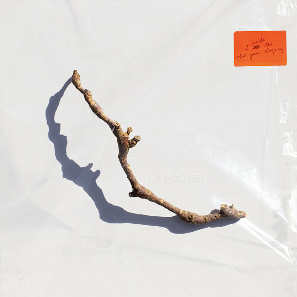 P.j. Harvey - I Inside The Old Year Dying (CD)