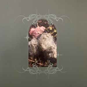 USED - Ben Bondy - Glans Intercum