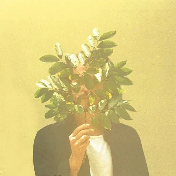 FKJ - FRENCH KIWI JUICE (LP)