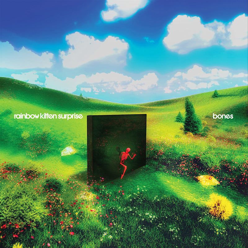 Rainbow Kitten Surprise - Bones (LP)