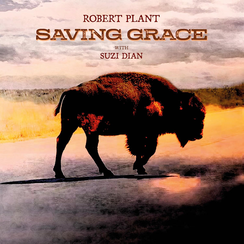 Robert Plant - Saving Grace (Fruit Punch Vinyl LP)