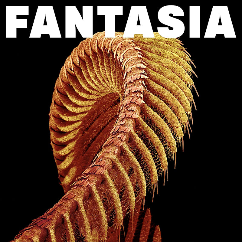 Slift - Fantasia (Sparkle Starlight Vinyl LP)