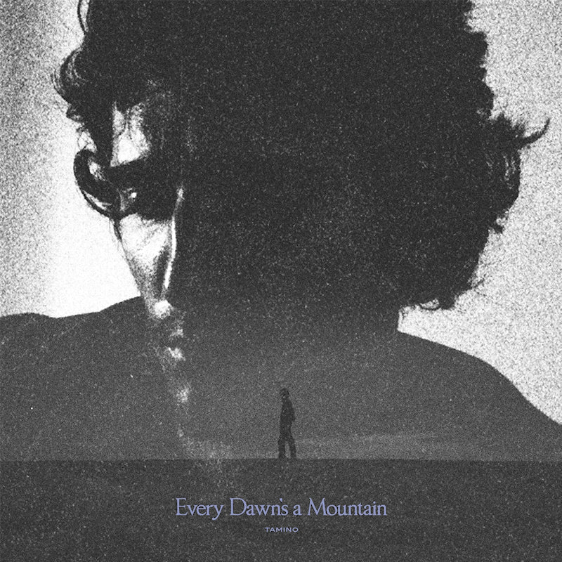 Tamino - Every Dawn's A Mountain (Black And Silver Marbled Coloured / Poster LP)