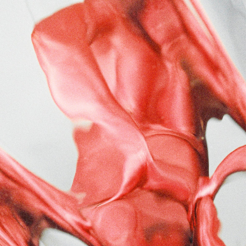 Tramhaus - Blister (LP)