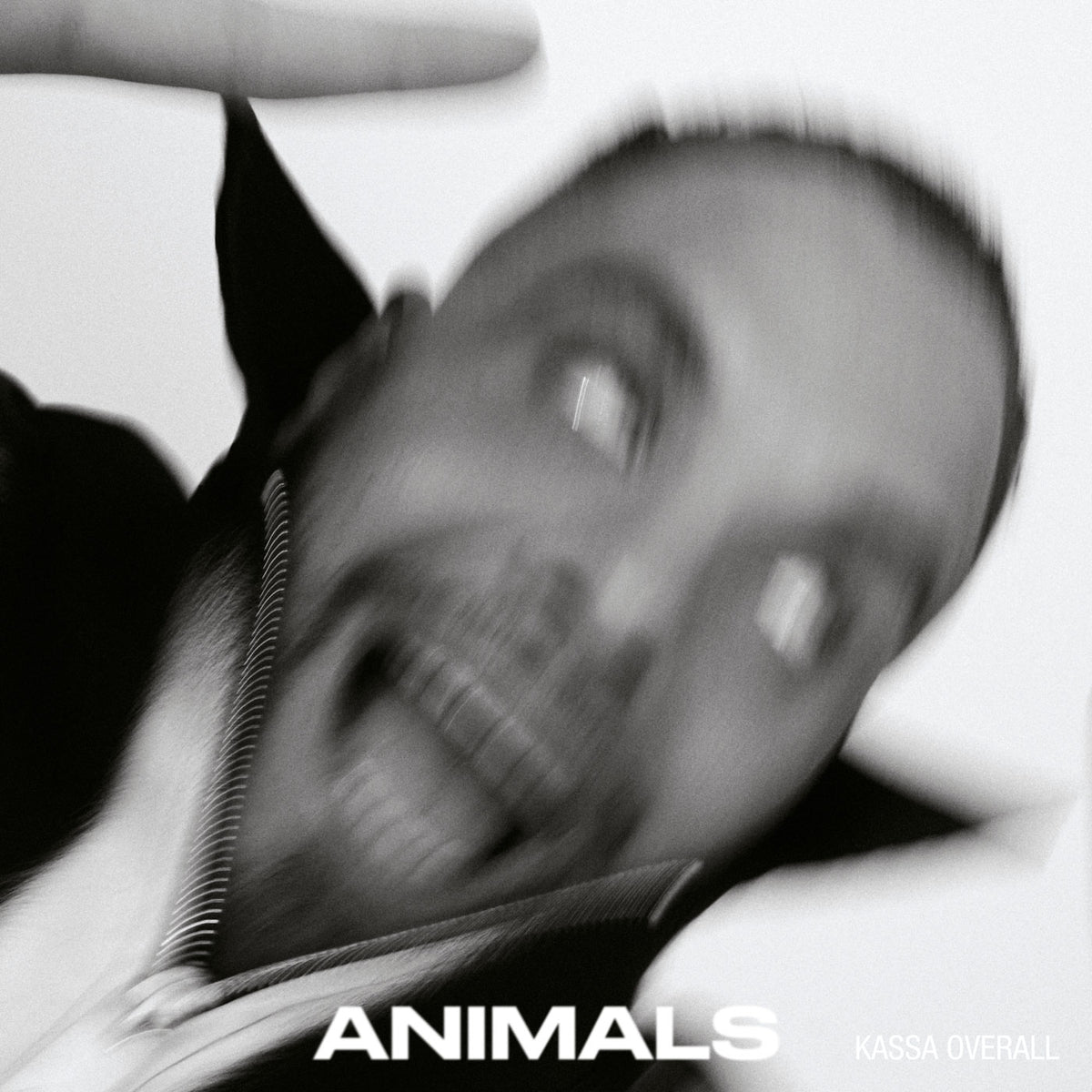 Kassa Overall - Animals (CD)