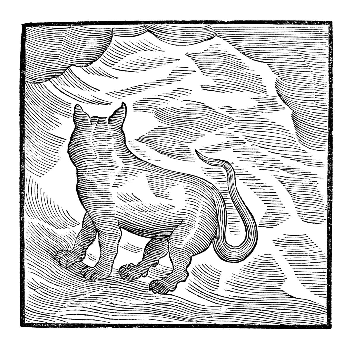 Valentina Magaletti & Ypy - Kansai Bruises (LP)